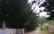 Quamby Pines Chalet - thumb 2