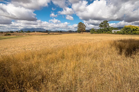 Glencoe Country Bed And Breakfast - Holiday Sunshine Coast 39