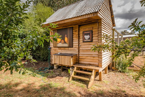 Glencoe Country Bed And Breakfast - Holiday Sunshine Coast 34