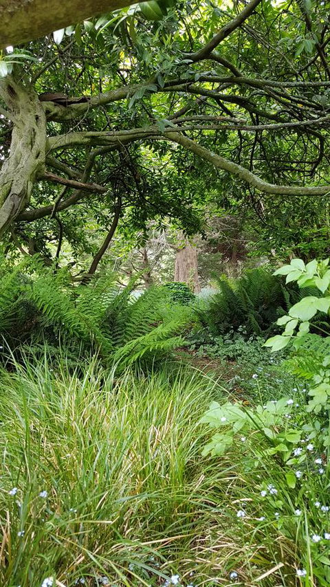 Whispering Hills Retreat - Holiday Sunshine Coast 15