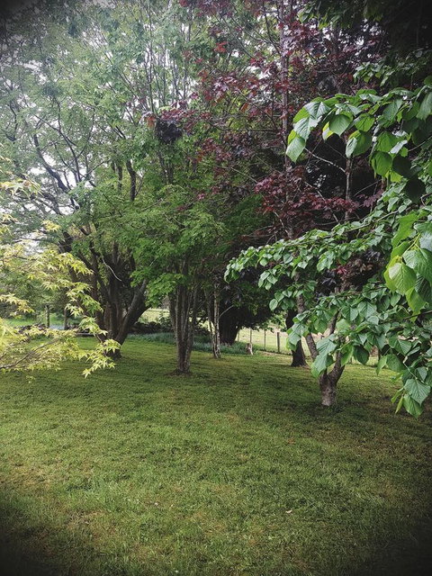 Whispering Hills Retreat - Holiday Sunshine Coast 14