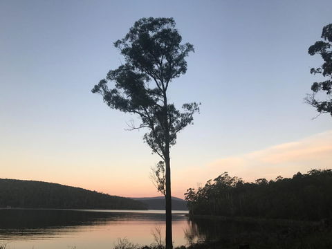 The Fox And Hounds Historic Hotel - Sunshine Coast Tourism 28
