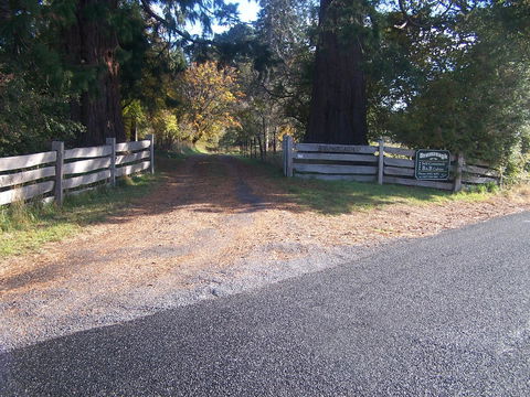 Drumreagh Cabins - Sunshine Coast Tourism 7