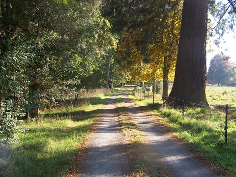 Drumreagh Cabins - Sunshine Coast Tourism 5