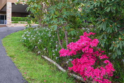 Maria Views Bed & Breakfast - Sunshine Coast Tourism 2