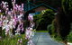 Maria Views Bed & Breakfast - thumb 6