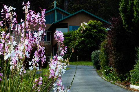 Maria Views Bed & Breakfast - Sunshine Coast Tourism 6
