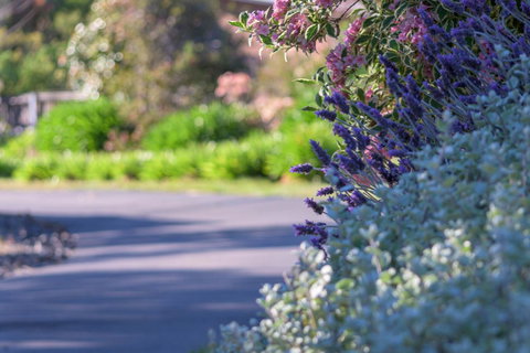 Maria Views Bed & Breakfast - Sunshine Coast Tourism 3