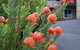 Maria Views Bed & Breakfast - thumb 1
