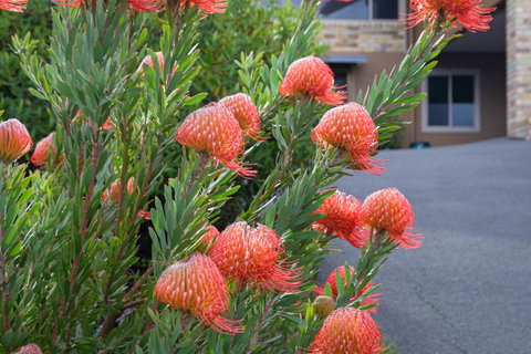 Maria Views Bed & Breakfast - Sunshine Coast Tourism 1
