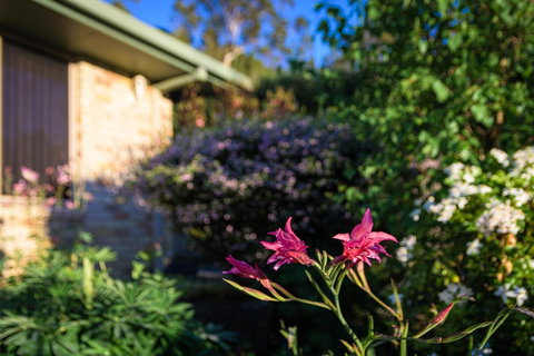 Maria Views Bed & Breakfast - Sunshine Coast Tourism 4
