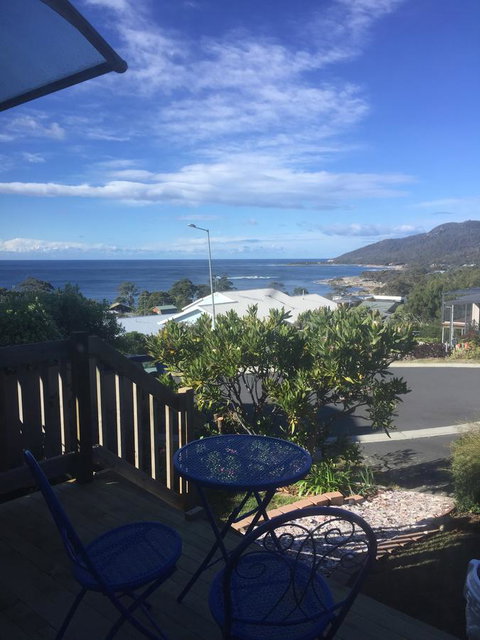 Bicheno Bell - Sunshine Coast Tourism 5