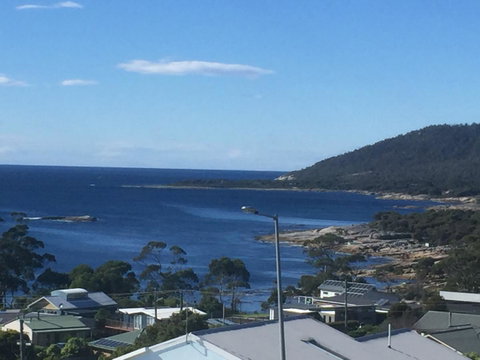 Bicheno Bell - Sunshine Coast Tourism 0