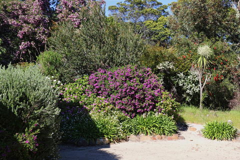 Hazards Beach House - Holiday Sunshine Coast 1