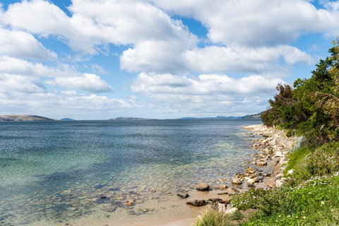 Litora Accommodation - Sunshine Coast Tourism 27