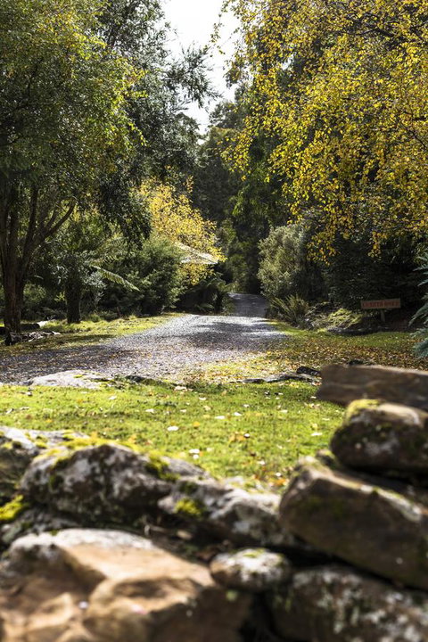 Cradle Forest Inn - Holiday Sunshine Coast 34