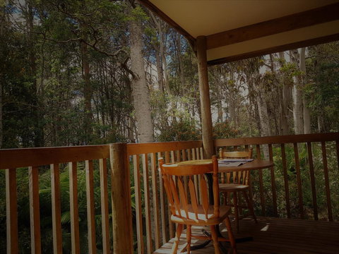 Cradle Forest Inn - Holiday Sunshine Coast 2