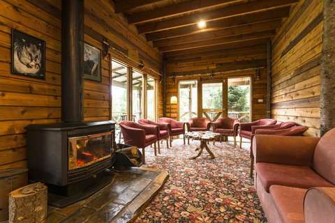 Cradle Forest Inn - Holiday Sunshine Coast 1