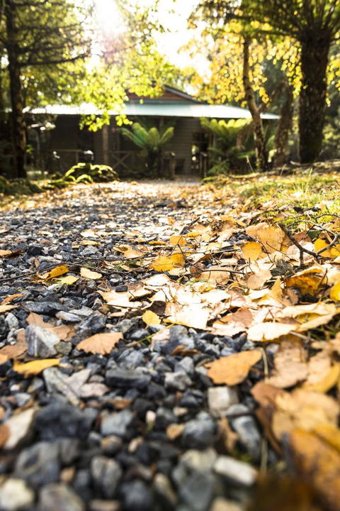 Cradle Forest Inn - Holiday Sunshine Coast 35