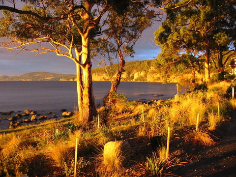 Beachside Taroona With Spa - Sunshine Coast Tourism 19