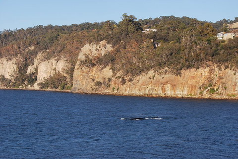 Beachside Taroona With Spa - Sunshine Coast Tourism 29