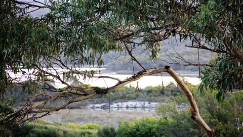 KINGFISHER COTTAGE Beachfront At The Binalong Bay - Holiday Sunshine Coast 17
