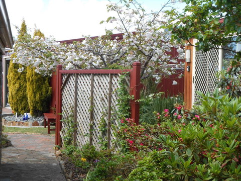 Tidelines Of Bicheno - Sunshine Coast Tourism 10