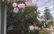Studio SixA ... A Haven In The Heart Of Hobart - thumb 19