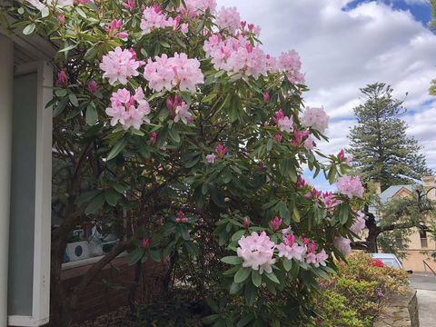 Studio SixA ... A Haven In The Heart Of Hobart - Holiday Sunshine Coast 19