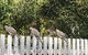 Studio SixA ... A Haven In The Heart Of Hobart - thumb 18