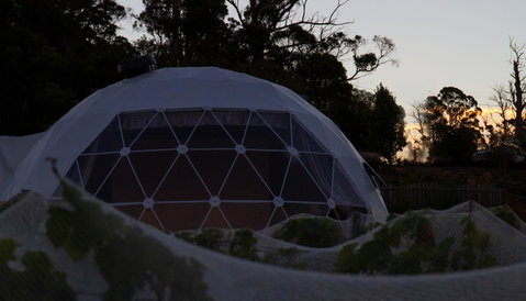 Domescapes In The Vines - Sunshine Coast Tourism 12