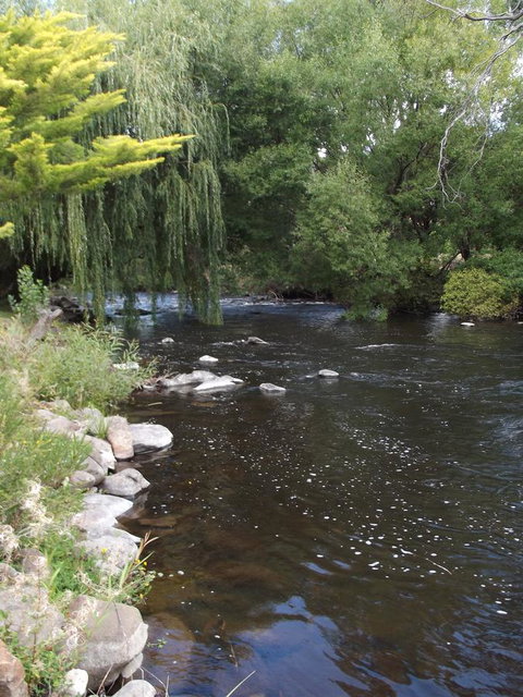 Blue Wren Riverside Cottage - Sunshine Coast Tourism 7