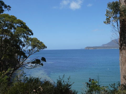 Osprey Lodge & Bungalow - Sunshine Coast Tourism 3