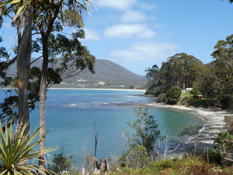 Osprey Lodge & Bungalow - Sunshine Coast Tourism 4