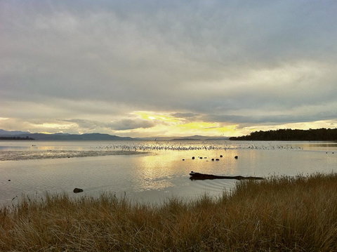 Cloudy Bay Beach House - Sunshine Coast Tourism 11