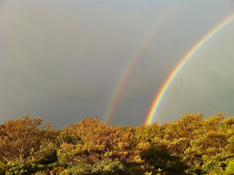 Cloudy Bay Beach House - Sunshine Coast Tourism 44