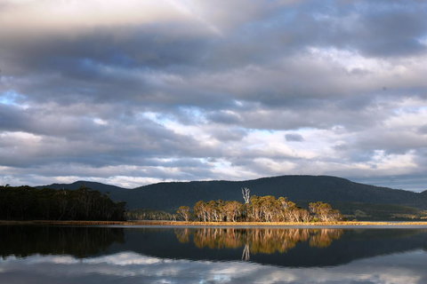 Cloudy Bay Beach House - Sunshine Coast Tourism 12