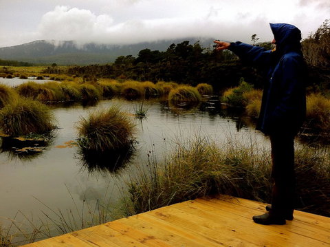 Cloudy Bay Beach House - Sunshine Coast Tourism 35