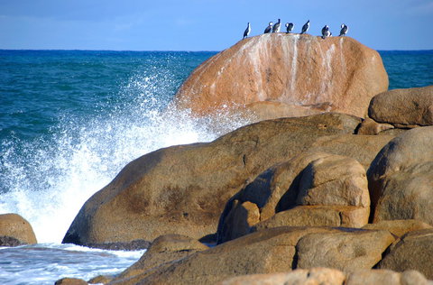 Cloudy Bay Beach House - Sunshine Coast Tourism 29