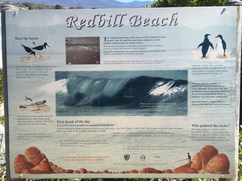 Bicheno Getaway - Sunshine Coast Tourism 14