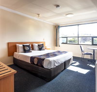 Black Buffalo - Sunshine Coast Tourism
