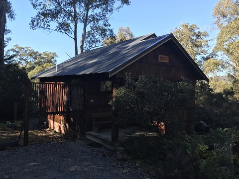 Cradle Highlander - Holiday Sunshine Coast 13