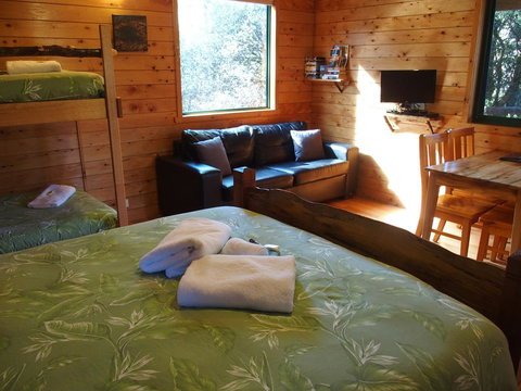 Cradle Highlander - Holiday Sunshine Coast 34