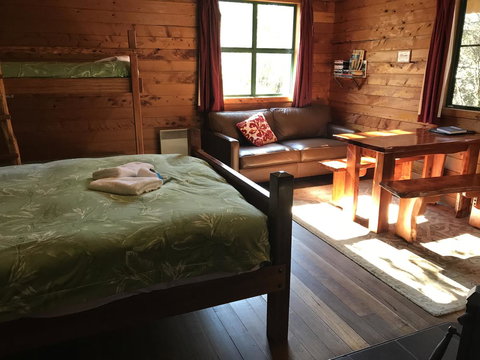 Cradle Highlander - Holiday Sunshine Coast 20