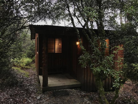 Cradle Highlander - Holiday Sunshine Coast 15