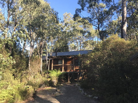 Cradle Highlander - Holiday Sunshine Coast 14