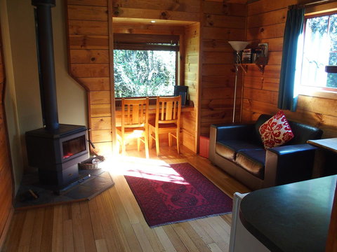 Cradle Highlander - Holiday Sunshine Coast 30