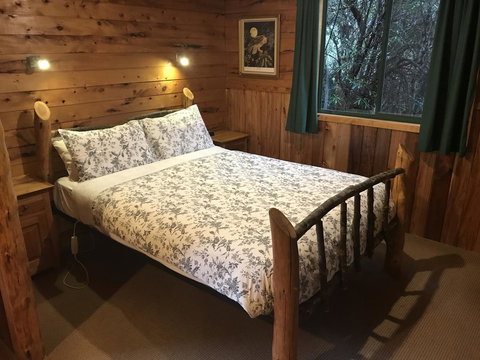 Cradle Highlander - Holiday Sunshine Coast 18