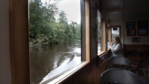 Arthur Riverfront And Sea Lodge Downstream - Holiday Sunshine Coast 28