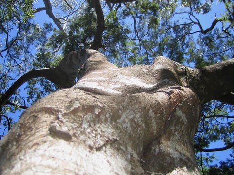 Arthur Riverfront And Sea Lodge Downstream - Holiday Sunshine Coast 32